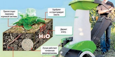 Bosch vrtna sjeckalica